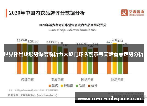 世界杯出线形势深度解析五大热门球队前景与关键看点走势分析